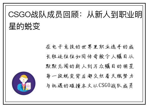 CSGO战队成员回顾：从新人到职业明星的蜕变